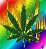 Weed Trippy Pics